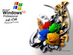 Windows-Crazy Roses Original.jpg